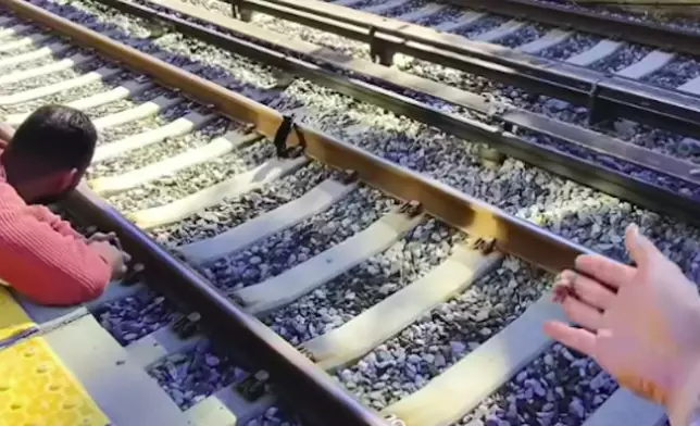 好心途人目睹幼貓在鐵軌上亂竄，趕在列車進站前6分鐘將牠救出。圖片翻攝The Dodo