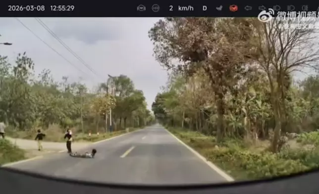 司機駕車見4孩童並排躺馬路中央扮減速壆。影片截圖