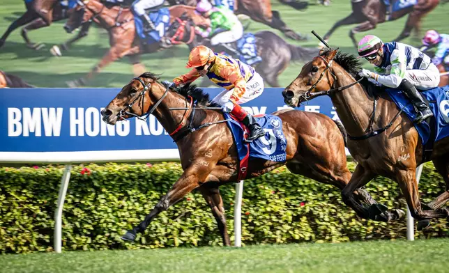 寶馬香港打吡大賽