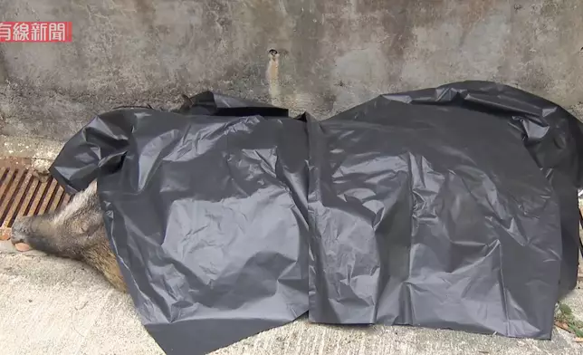 有線新聞影片截圖