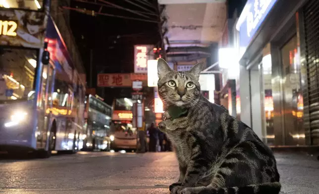 「阻B」在區內人氣甚高。FB圖片