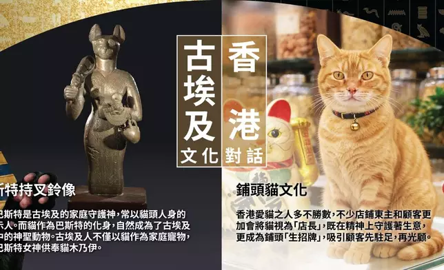 期間限定「九巴法老貓號」一共10輛主題巴士，延續特別展覽「古埃及文明大展」的熱潮。