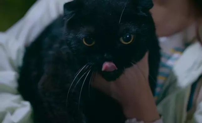 「黑妹」都好多人讚靚呀。