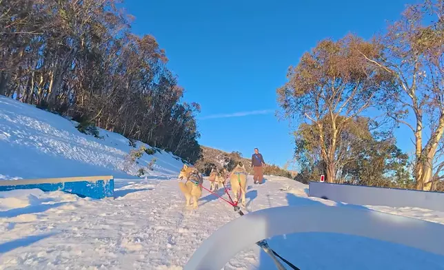 曹永廉與黎耀祥坐在被雪橇犬拉着的雪橇上，蕭正楠則站在雪橇尾控制左右。