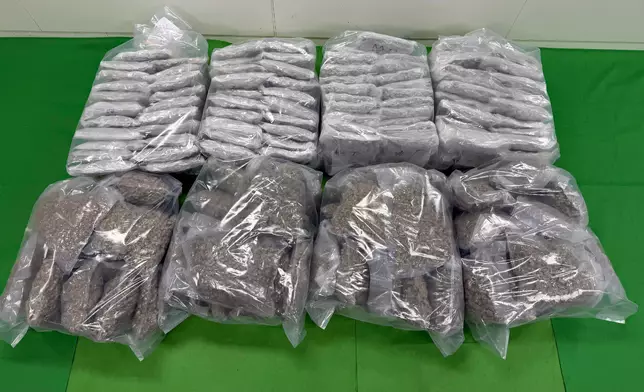 檢獲的懷疑大麻花。政府新聞處圖片