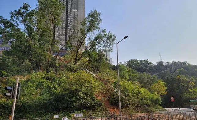 葵涌一個房委會的地盤發生天秤倒塌意外。網上圖片