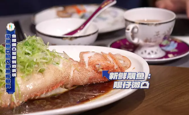 鼎爺話魚身飽滿表示新鮮，牙齒大小能分辨海魚或養魚。