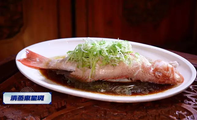 鼎爺話魚身飽滿表示新鮮，牙齒大小能分辨海魚或養魚。