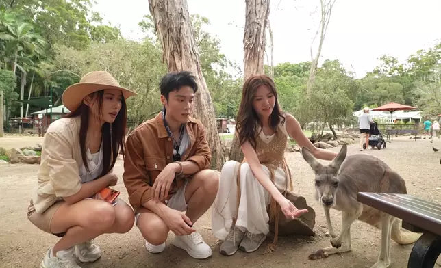 Joey指着袋鼠對Jinny說：佢個樣同你一樣咁黑面！