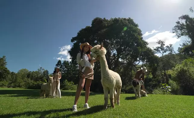 三人及後前往Scenic Rim的雷明頓國家公園與羊駝齊齊行街。