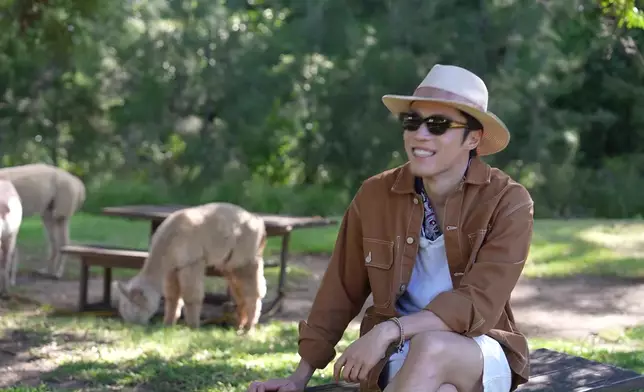 三人及後前往Scenic Rim的雷明頓國家公園與羊駝齊齊行街。