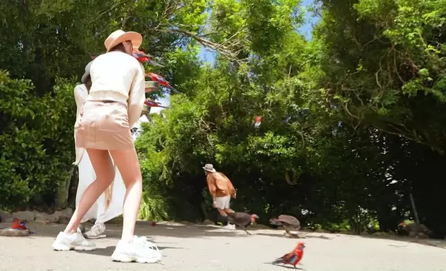 丁丁卻嚇到落荒而逃。