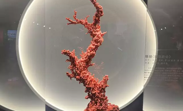 巴士的報記者攝