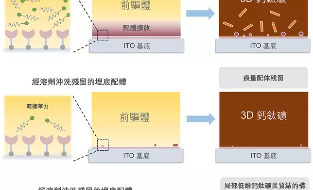 傳統的策略往往導致配體分子
   受控地擴散至鈣鈦礦材料內部，或在溶劑清洗過程中大量流失，無法形成有效的配體層。本研究團隊提出全新策略，成功將配體分子固定在自組裝單分子層材料（SAM分子）上，並構建局部的「2D/3D」結構。