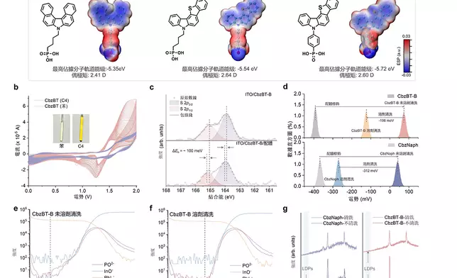 此圖為團隊設計的名為CbzBT-B的新型自組裝單分子層材料，該分子具備優異的穩定性，且其能階與鈣鈦礦更為匹配。該分子中的硫原子可與配體相互作用，確保在底界面形成局部的「2D/3D
   鈣鈦礦異質結結構。