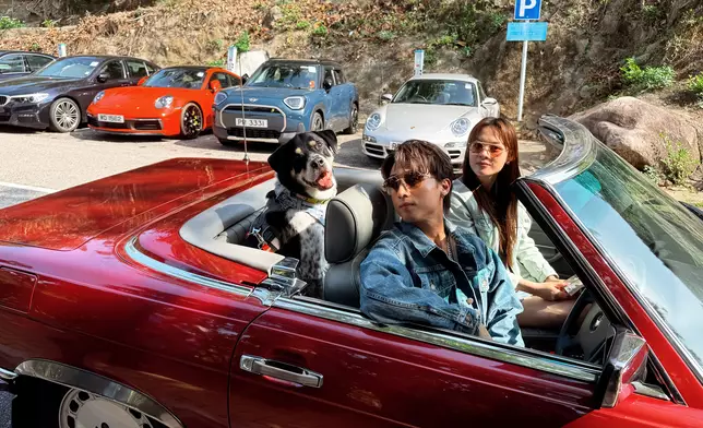 激讚愛犬猜柴演出淡定具明星風采。