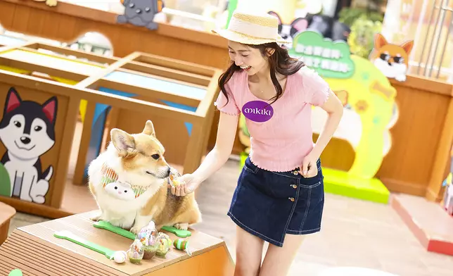 寵主必玩毛孩Egg Hunt Pawty