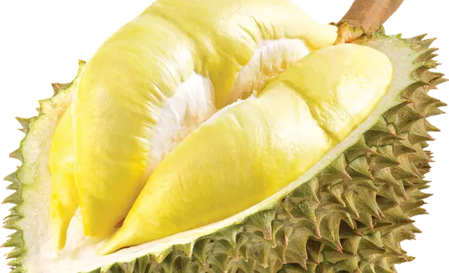 Monthong 金枕頭榴槤