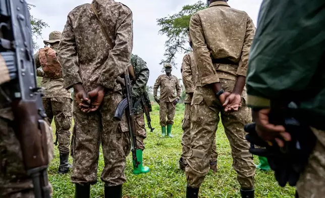 護林員準備將一隻犀牛從茲瓦犀牛保護區遷徙至烏干達東北部的基迪坡河谷保護區，攝於2026年3月19日周四。(美聯社圖片/Moses Dipak) AP圖片