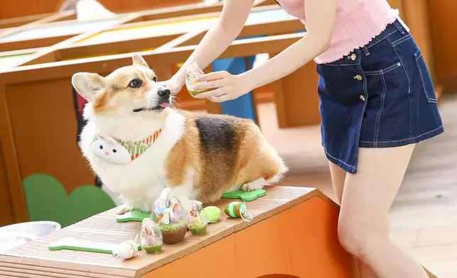 寵主必玩毛孩Egg Hunt Pawty