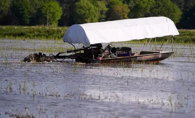 胡安安東尼奧在路易斯安那州克勞利的一個小龍蝦池塘收穫小龍蝦陷阱，2026年3月19日周四。（美聯社圖片/Gerald Herbert） AP圖片