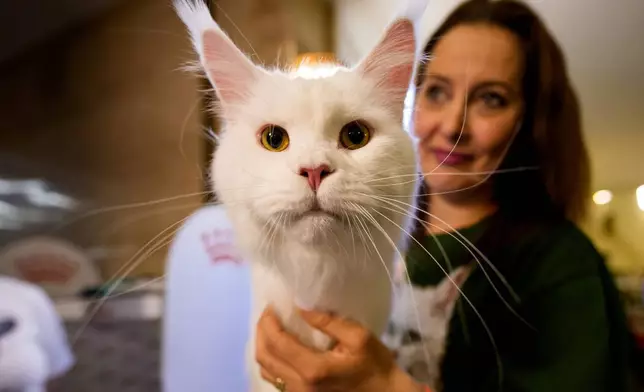 2026年3月21日周六，羅馬尼亞布加勒斯特舉行一場國際貓隻選美大賽，被譽為「貓界奧斯卡」，吸引逾200隻貓咪參與。圖為一名女子在評審環節中抱著一隻貓。(美聯社圖片/Andreea Alexandru) AP圖片