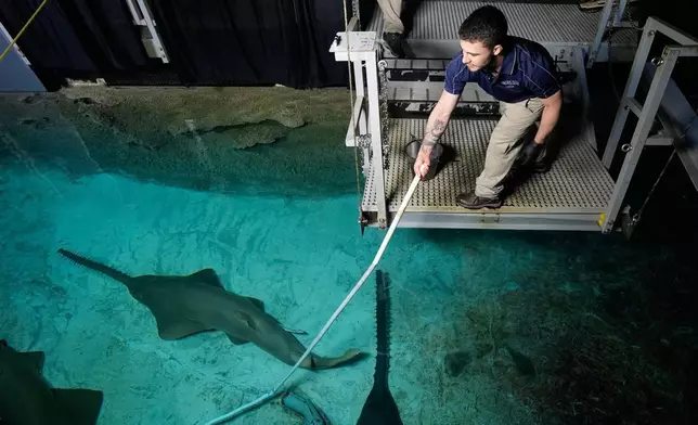 水族師西奧尼（Lukas Seoane）於2026年3月11日周三，在拉斯維加斯曼德勒海灣酒店賭場的鯊魚礁水族館餵飼鯊魚。(美聯社圖片/John Locher) AP圖片