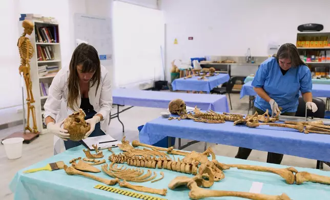 2026年3月3日周二，法醫人類學家瑪麗埃拉·富馬加利（Mariella Fumagalli，左）和加布里埃拉·吉迪尼（Gabriela Ghidini），在阿根廷布宜諾斯艾利斯（Buenos Aires）的阿根廷法醫人類學團隊實驗室中，檢驗軍事獨裁時期被謀殺和失蹤者的骨骸。 (美聯社圖片/羅德里戈·阿卜德 Rodrigo Abd) AP圖片