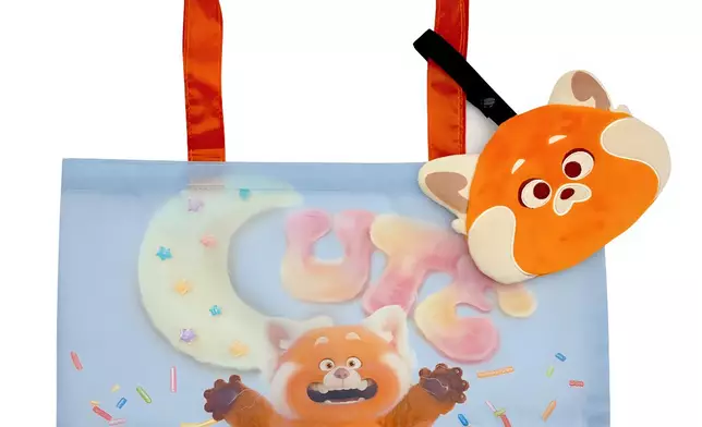 #7 《熊抱青春記》 環保袋連收納小袋