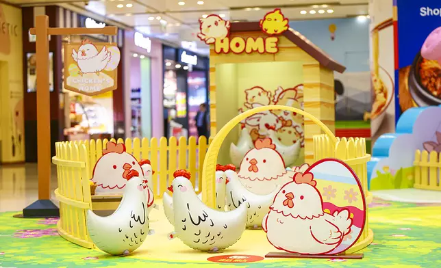 眼明手快趕雞仔回家