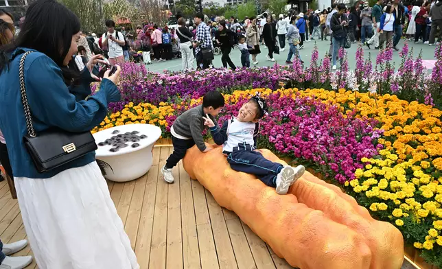 香港花卉展覽今日開幕。政府新聞處圖片