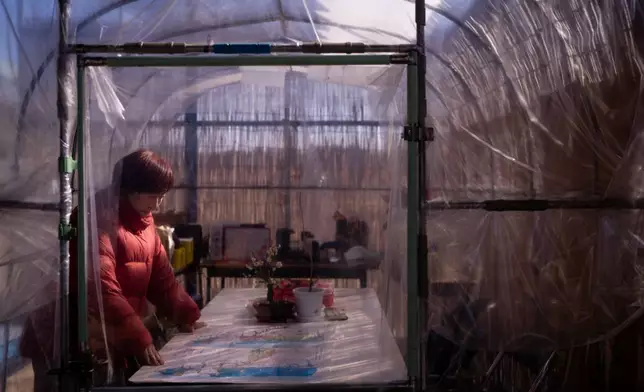 小林智子在小高區輻射監測實驗室附近接受訪問，查看一張由當地居民製作、標示輻射水平的彩色地圖。AP圖片