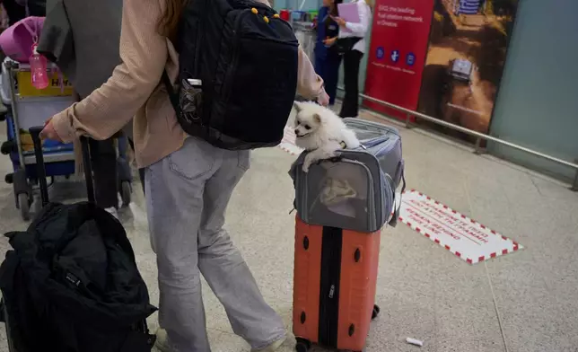 一名獲撤離的希臘婦女與她的狗，於2026年3月18日周三抵達雅典國際機場埃萊夫塞里奧斯·韋尼澤洛斯（Eleftherios Venizelos），此前她們因美國與以色列和伊朗之間不斷升級的衝突而從阿布扎比撤離。(美聯社圖片/Petros Giannakouris) AP圖片