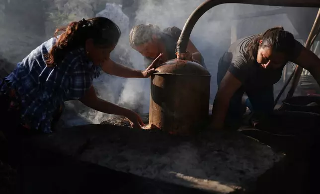 2026年1月21日周三，在聖佩德羅托托拉帕姆（San Pedro Totolapam），埃琳娜阿拉貢埃爾南德斯（Elena Aragón Hernández）（左起）、格拉迪斯桑切斯加爾尼卡（Gladys Sánchez Garnica）和邁拉羅薩萊斯聖地亞哥（Mayra Rosales Santiago）互相幫助，蒸餾梅斯卡爾酒（mezcal）。(美聯社圖片/Claudia Rosel) AP圖片