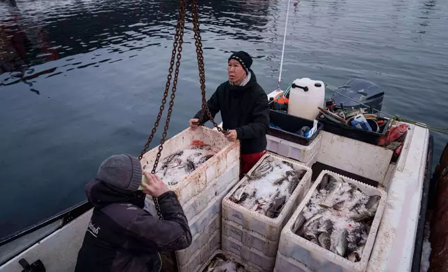 (美聯社圖片/Evgeniy Maloletka) 漁民在格陵蘭努克港口從船上卸下裝有魚的箱子。攝於2026年1月22日。 AP圖片