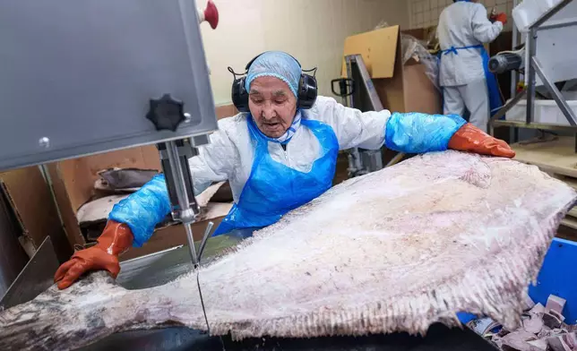 (美聯社圖片/Evgeniy Maloletka) 皇家格陵蘭海產公司的一名工人在格陵蘭努克切割大比目魚。攝於2026年1月21日。 AP圖片
