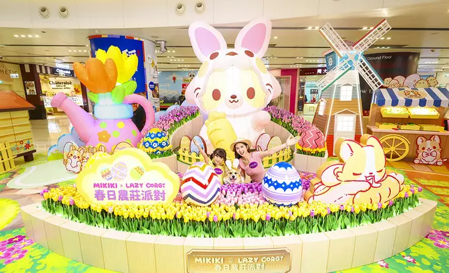 夢幻鬱金香花圃