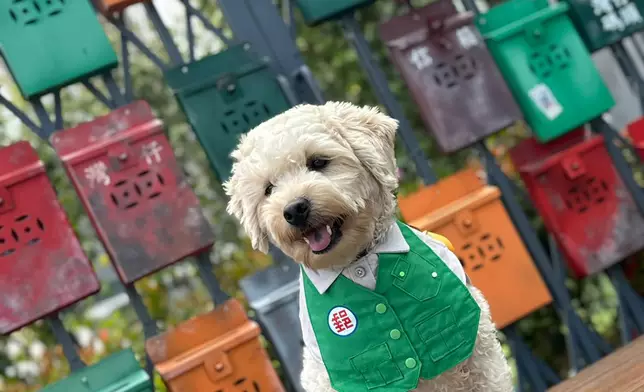 栗子手作 寵物布藝產品