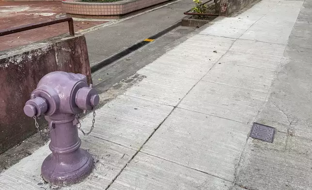 近日有市民在北區街頭發現顏色獨特的紫色消防栓。Threads截圖