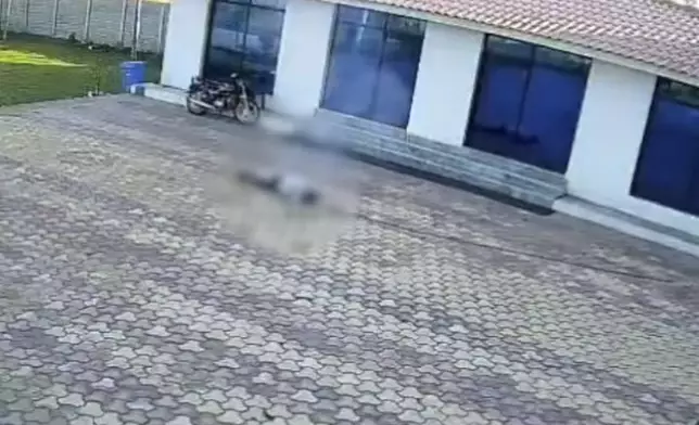 酒店員工持鐵管驅趕馬騮期間誤觸33千伏高壓電線身亡。影片截圖