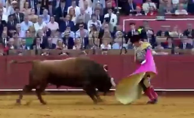 鬥牛士同公牛纏鬥失手遭牛角刺穿直腸。網上圖片