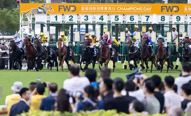 「富衛保險冠軍賽馬日」