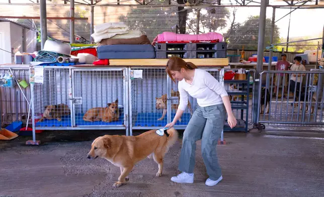 Feanna與粉絲替狗狗梳毛餵食期間，被熱情狗狗「抱抱」索吻。