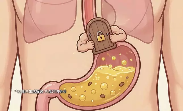 賁門管住胃酸不會倒流進食道。