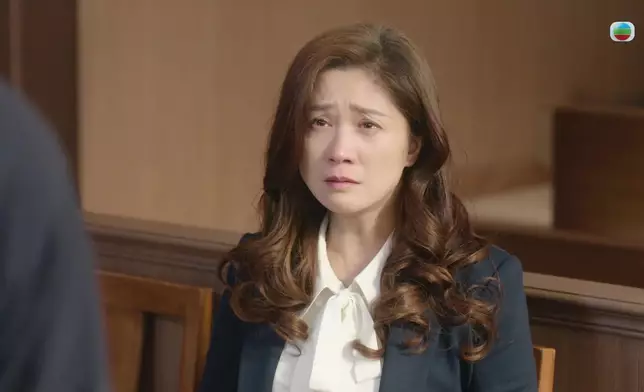 劉頌鵬與袁詠儀在這個個案中同樣表現亮麗。