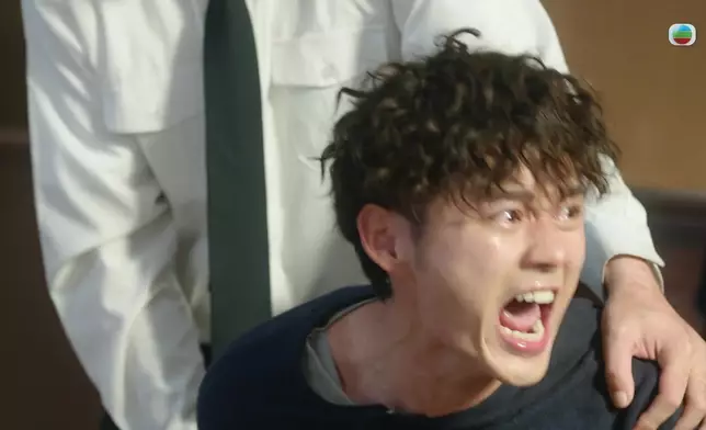 劉頌鵬與袁詠儀在這個個案中同樣表現亮麗。