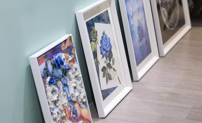 比賽作品除了來自香港，更有遠至澳洲、英、美、加拿大。