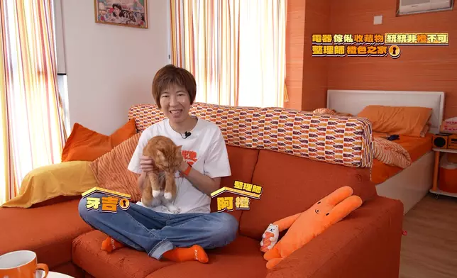 愛貓牙吉的毛色亦接近橙色。