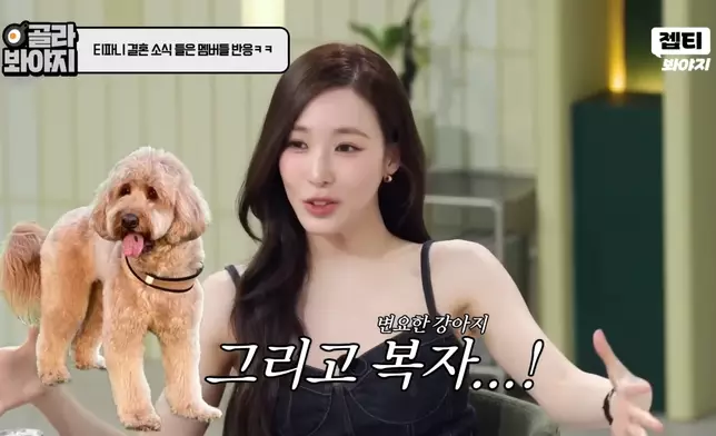 Tiffany和卞約漢共養了三隻狗狗。影片截圖