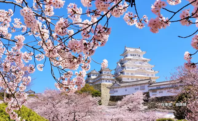 日本觀光局圖片